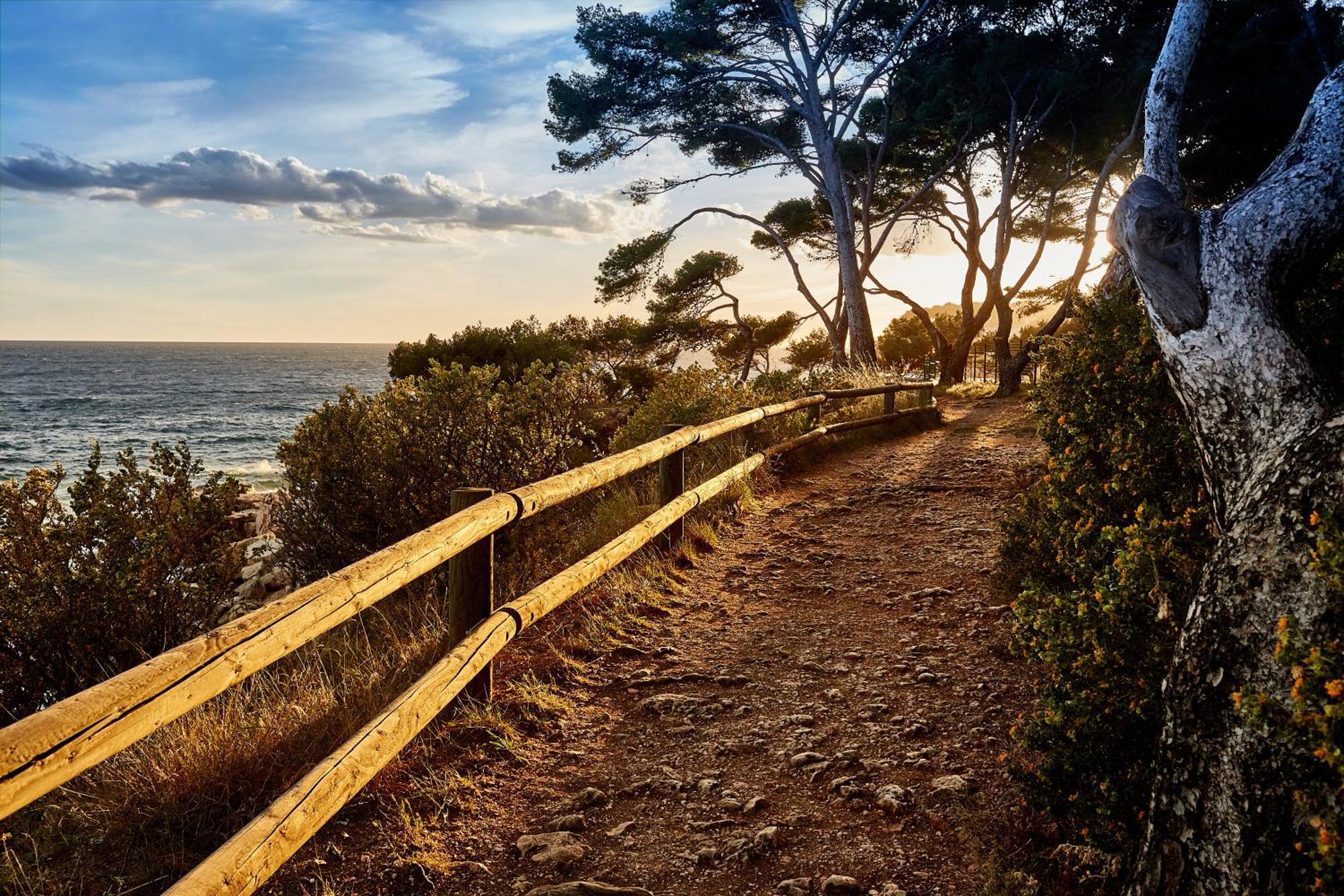 Plein Large 3* Bandol
